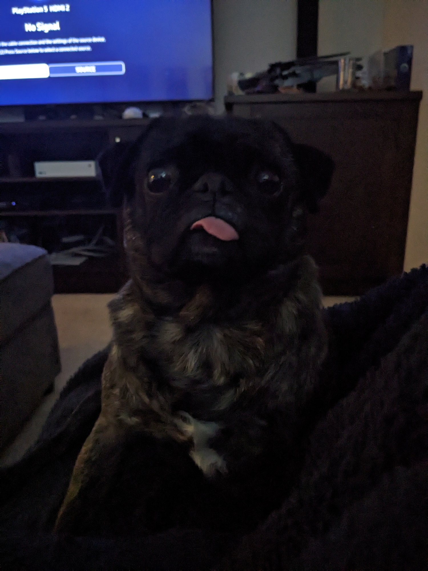 Making a new test for media selector variables